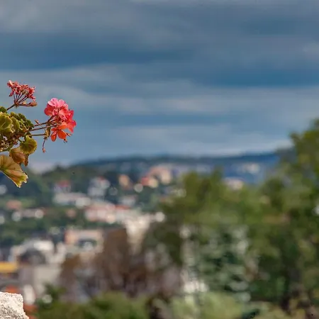La Perla Di San Giusto * Trieste